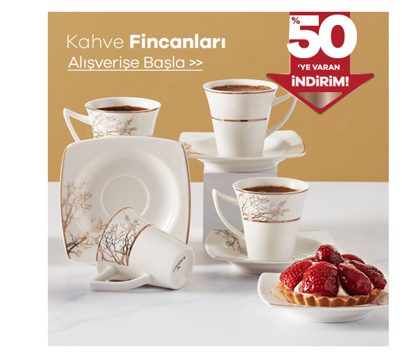 fincan33